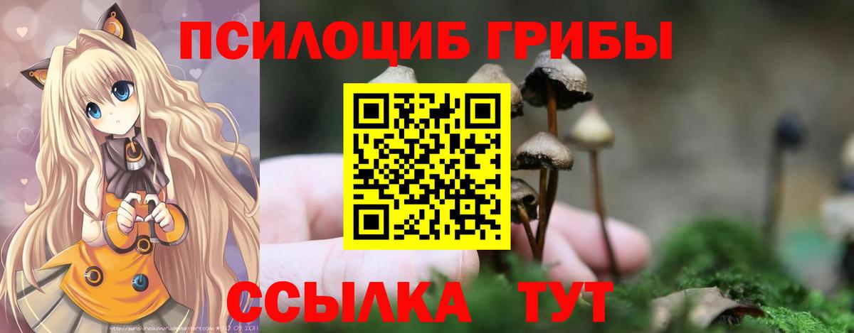 Анжеро-Судженск  Псилоцибиновые грибы Psilocybine cubensis  Вход с VPN 